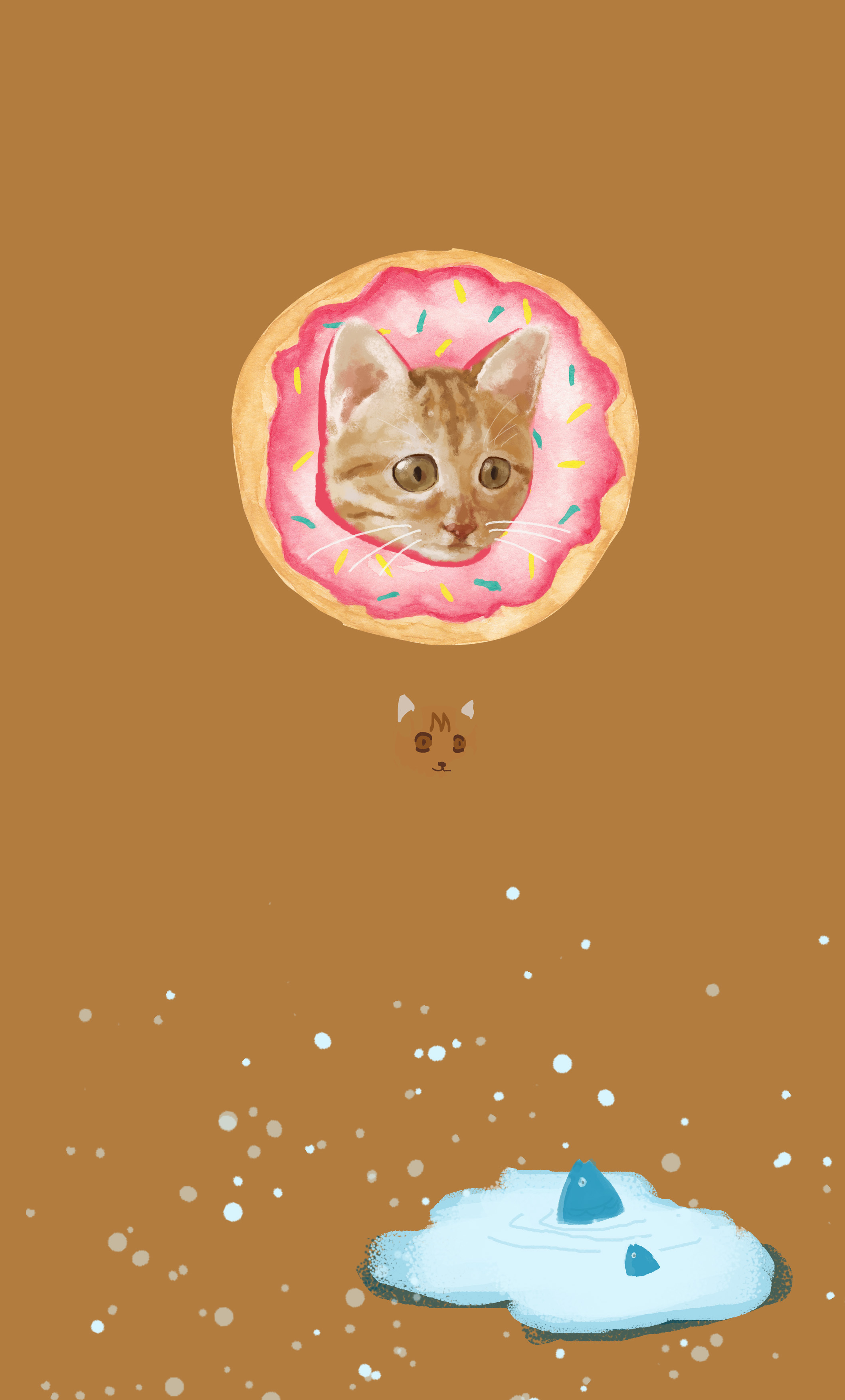 家里的橘猫
