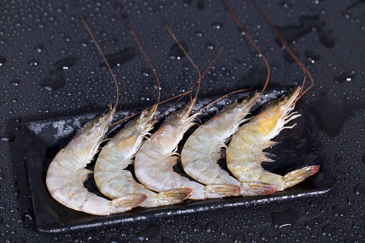 被誉为"地球中心"的厄瓜多尔, 在这个纯净海域,有位贵客, 白虾,野生