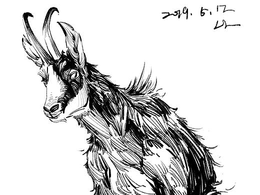 2019年5月总结
