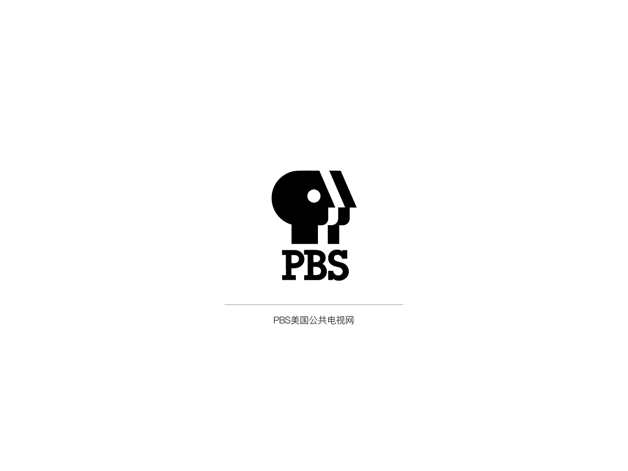 PBS美国公共电视网是美国的非营利性公共电视机构。其频道中知名度高的节目包括科学节目《新星》、《自然》、《发现》，儿童节目《芝麻街》、《发电公司》、金融节目《华尔街一周》、《地理》等。