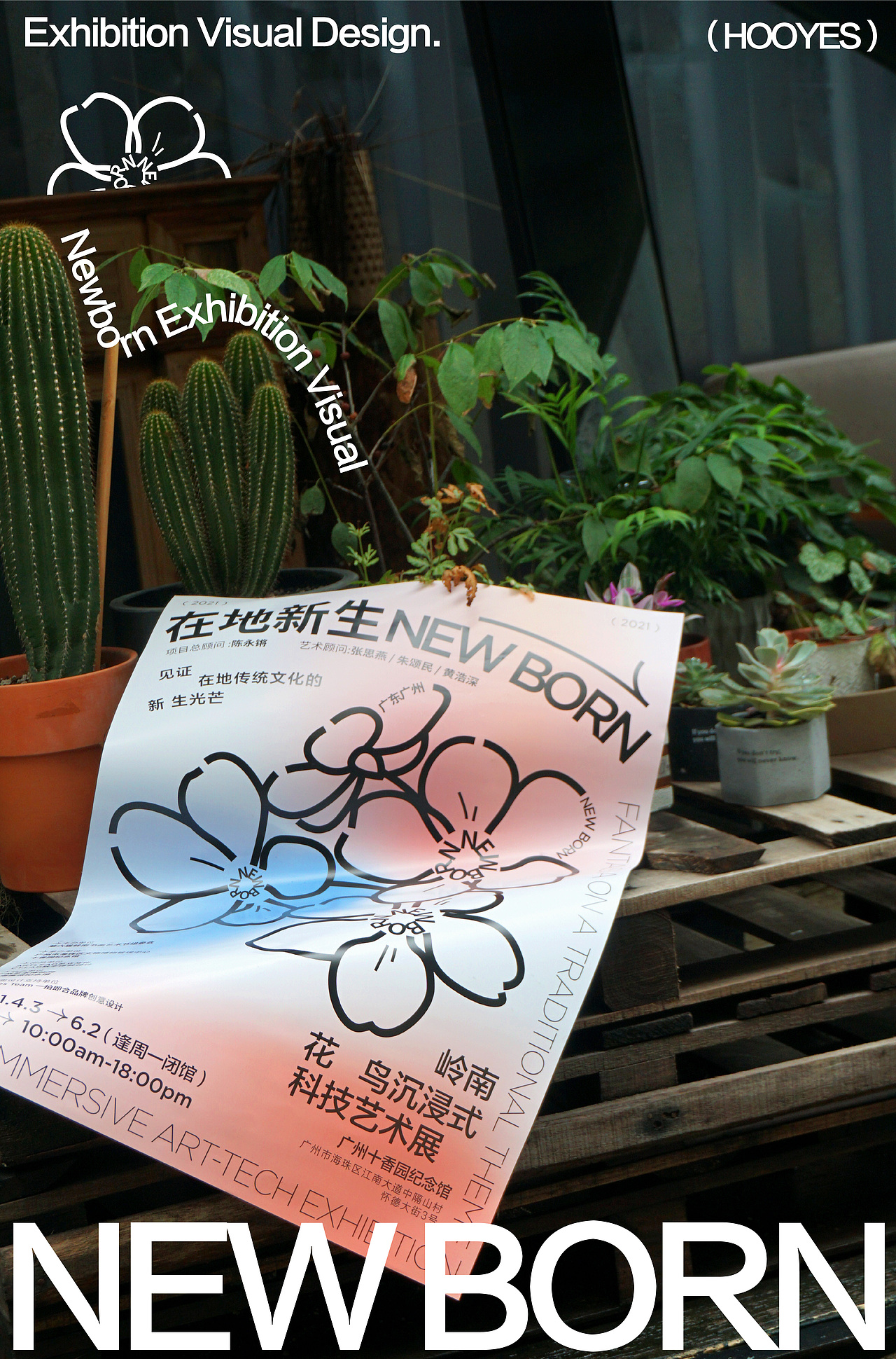 NEW BORN 在地新生 | 展览视觉