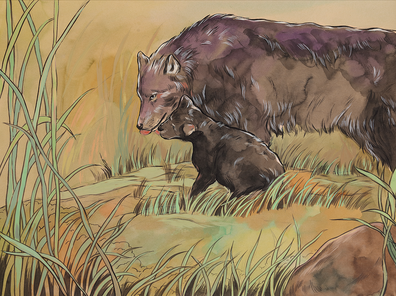 狼王梦连环画上册