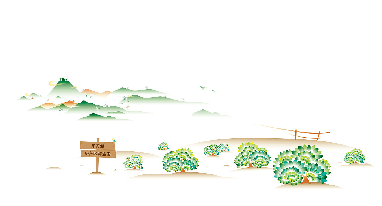 东方道小产区野生茶包装设计和霍山黄芽生长地考察 - 原创作品 - 站酷