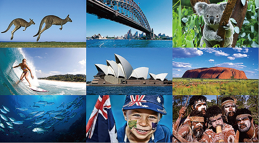 天然乳胶枕包装设计-澳大利亚进口乳胶枕包装设计-天然乳胶颈椎枕包装设计