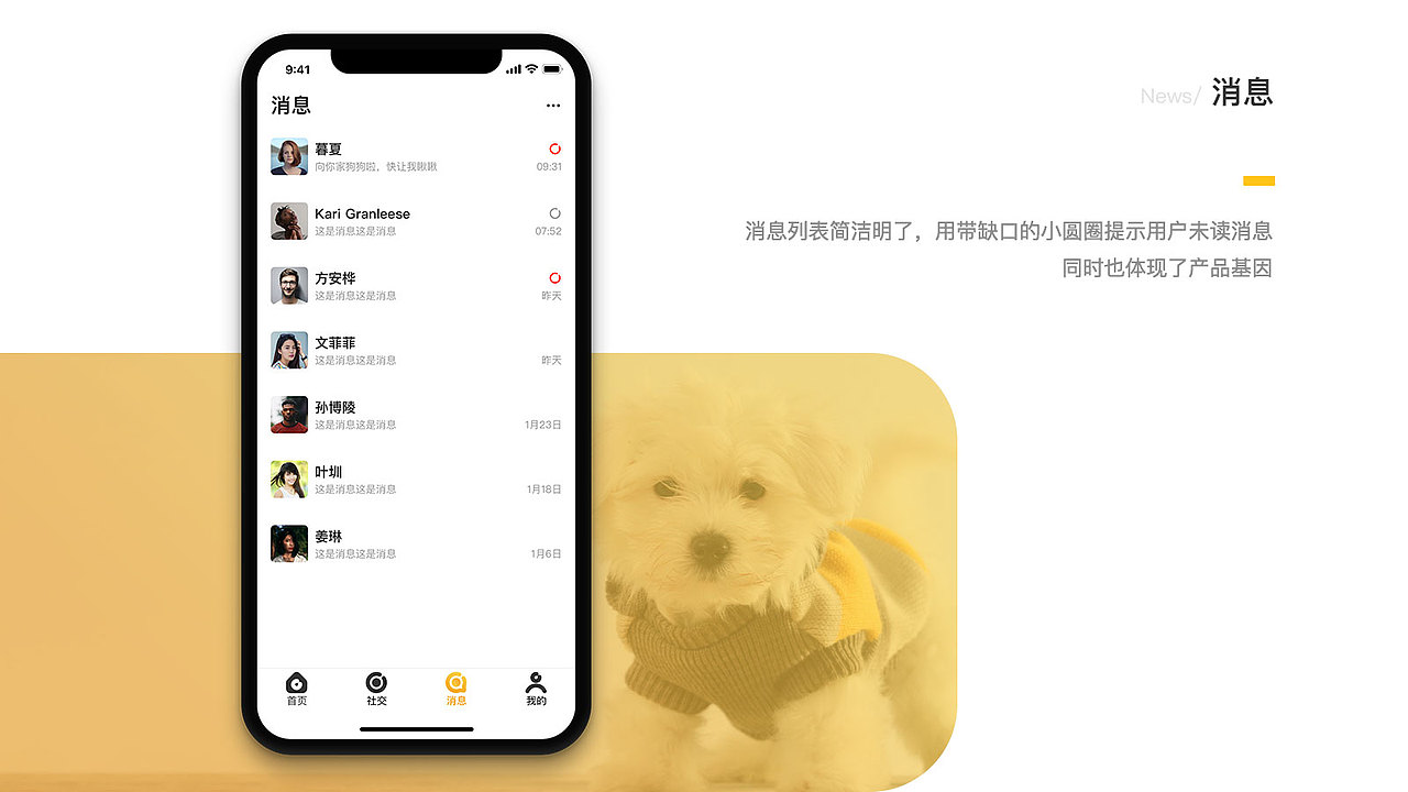 犬加 —— 它们缺个家,家里缺个它