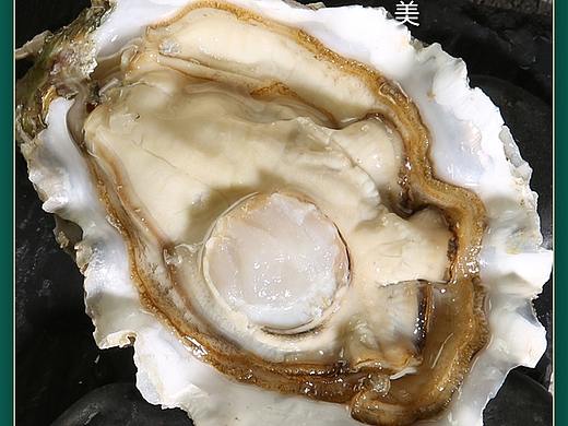 生蚝详情页