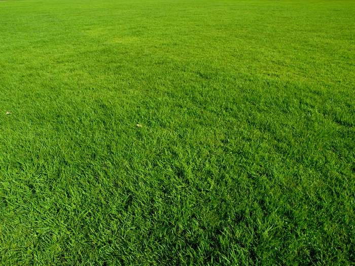 攝影師草坪的個(gè)人主頁（背景預(yù)覽） - 主頁背景設(shè)置 - 站酷設(shè)計(jì)師攝影師草坪原創(chuàng)素材 - 站酷ZCOOL