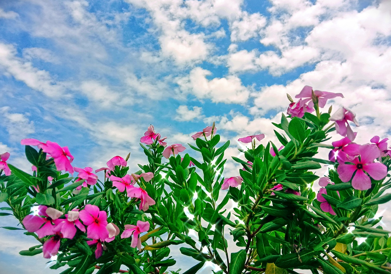 生活中的小美好|摄影|风光摄影|目标是米虫 - 原创作品 - 站酷 (zcool