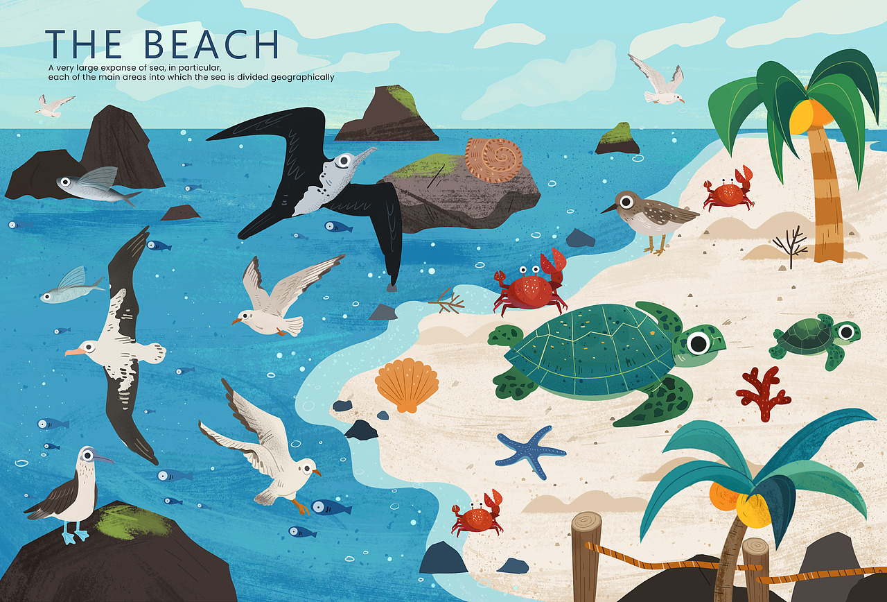 站酷十年,画出了21本书