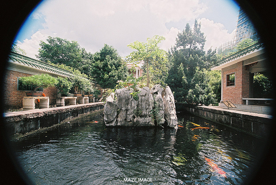 胶片初试,富士fuji100业务卷第一卷!