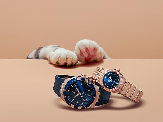 OMG欧米加七夕主题拍摄 《爱的万物论》