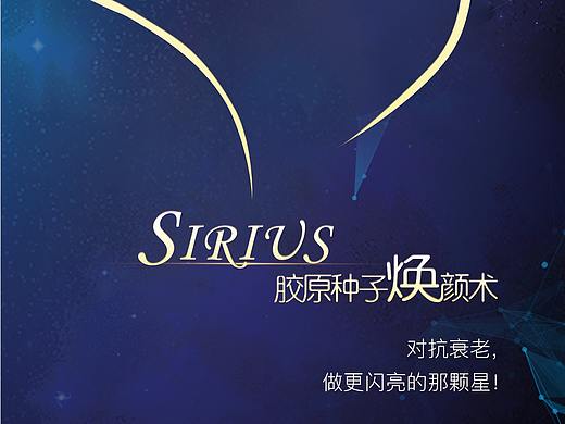 四折页