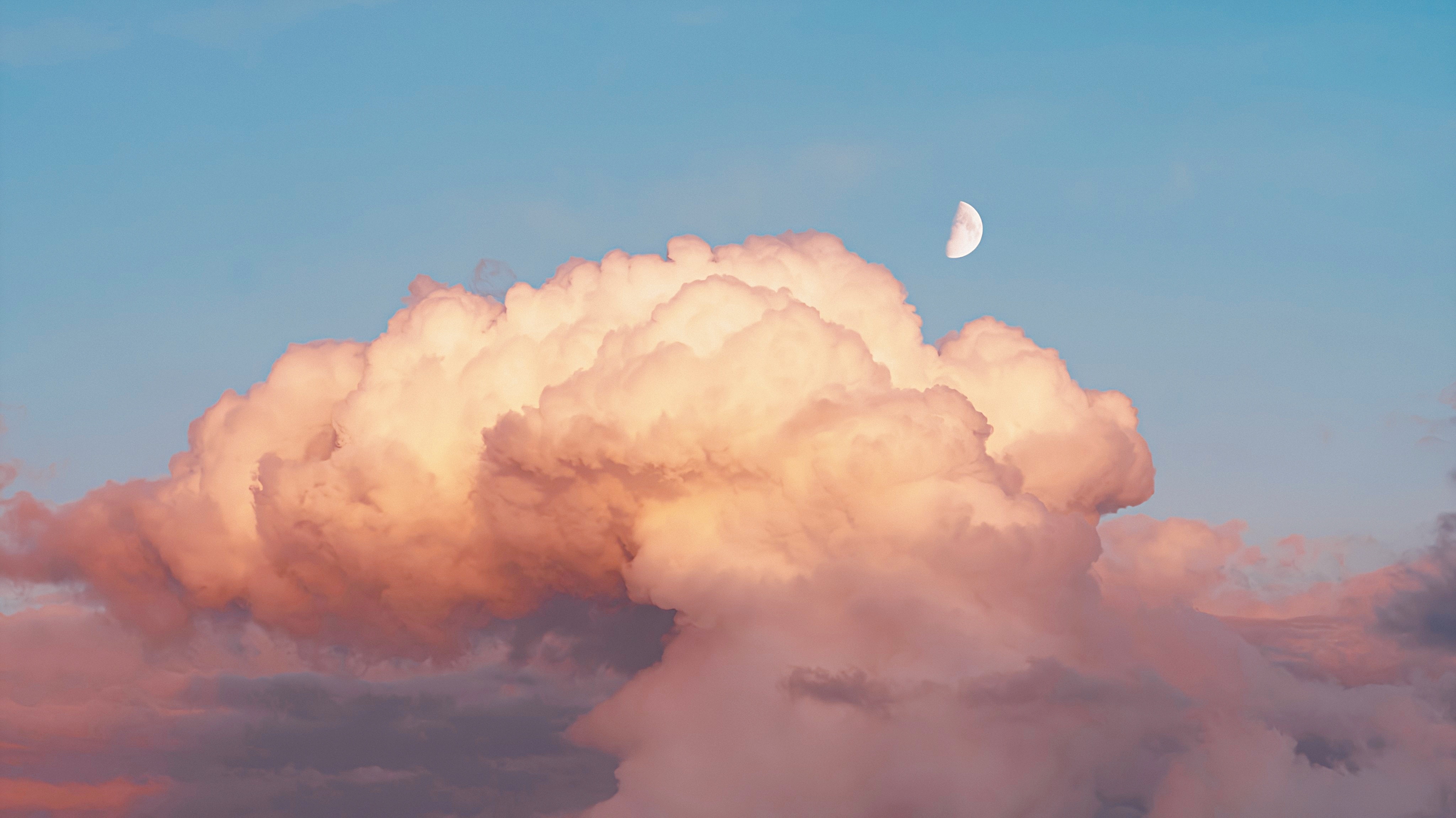 帝君的小狐狸的个人主页（封面预览） - 主页封面设置 - 站酷设计师帝君的小狐狸原创素材 - 站酷ZCOOL