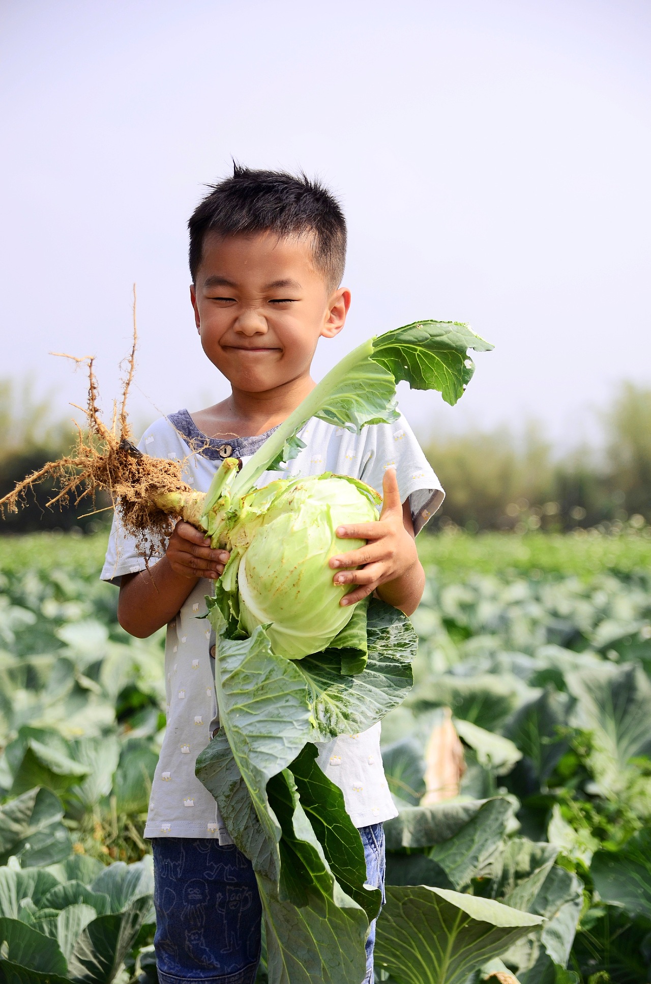 平面设计 | 摄影 | 视频（图ZMzczNzk1MTAw） - 其他平面 - 站酷设计师袁勇的作品合集原创素材 - 站酷ZCOOL