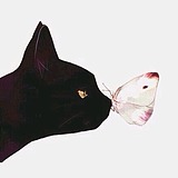 可能是个假设计师的头像