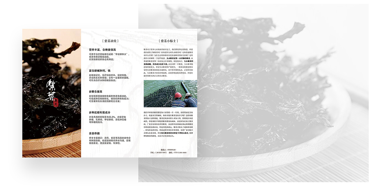 张氏紫菜宣传单 平面三折页