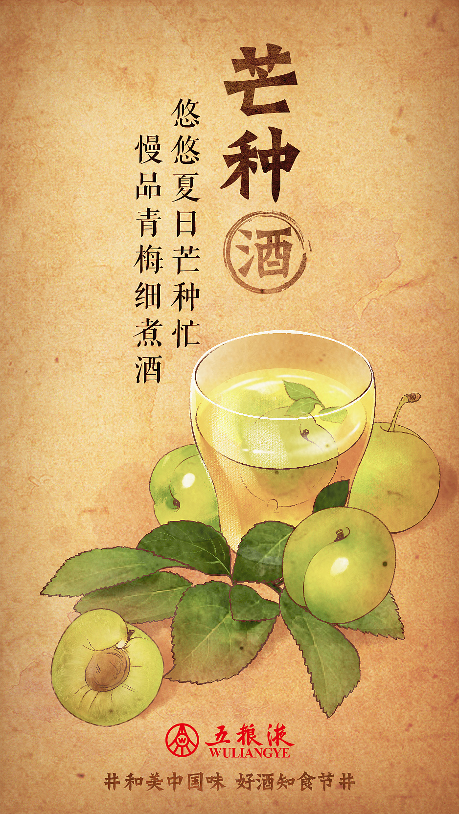 五粮液美食插画|插画|商业插画|污鸡汤 - 原创作品 - 站酷 (zcool)