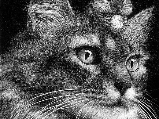OY钢笔画：猫鼠游戏