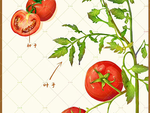 给儿子画的认知卡片