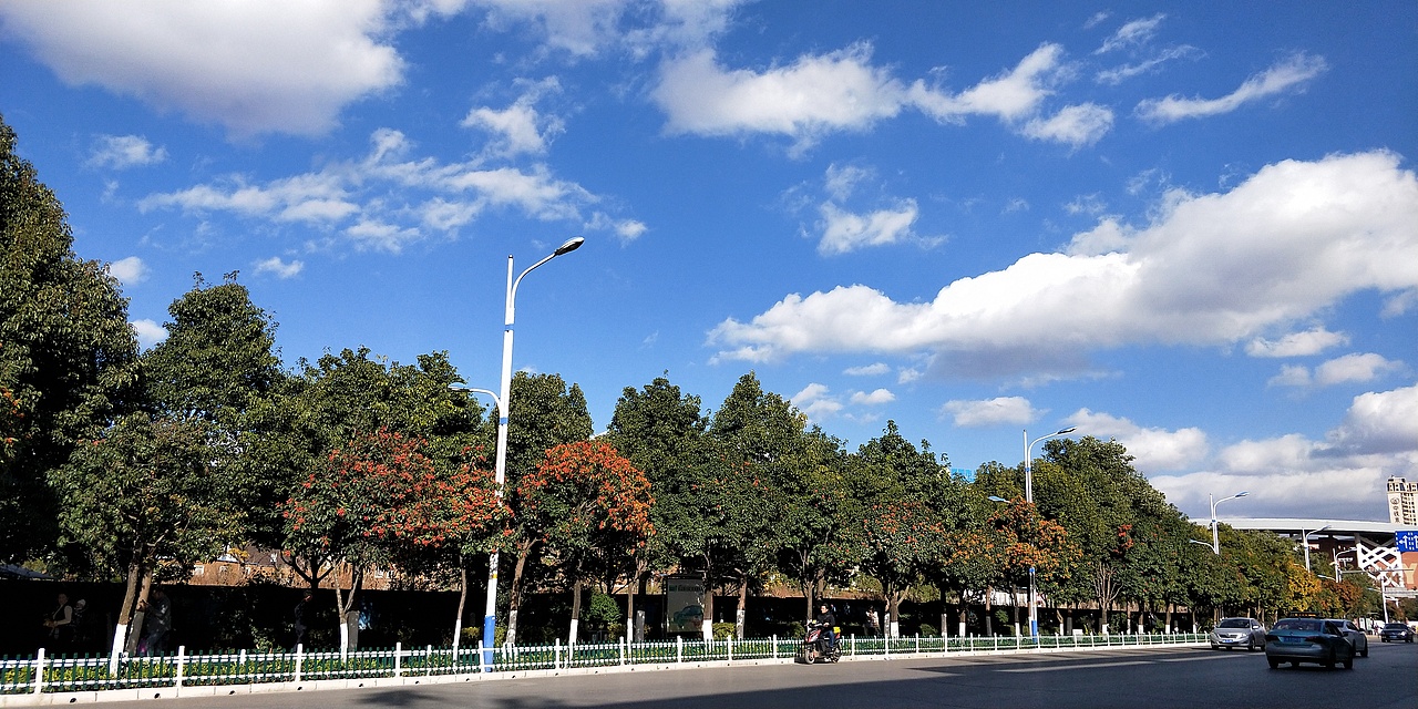 拍摄于前兴路公交枢纽站门口,路上种了很多很多结了小红果子的树,也不知道叫啥⊙∀⊙?拍摄那天刚刚下过雨天空超级蓝,白云超级像棉花糖,白色的路灯和栅栏与绿油油的树,红红的果子宽敞的街道构成的画面,即使使用原相机拍摄,再看一眼还能呼吸到清新的风