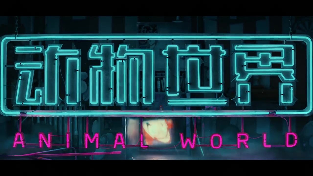 动物世界宣传片
