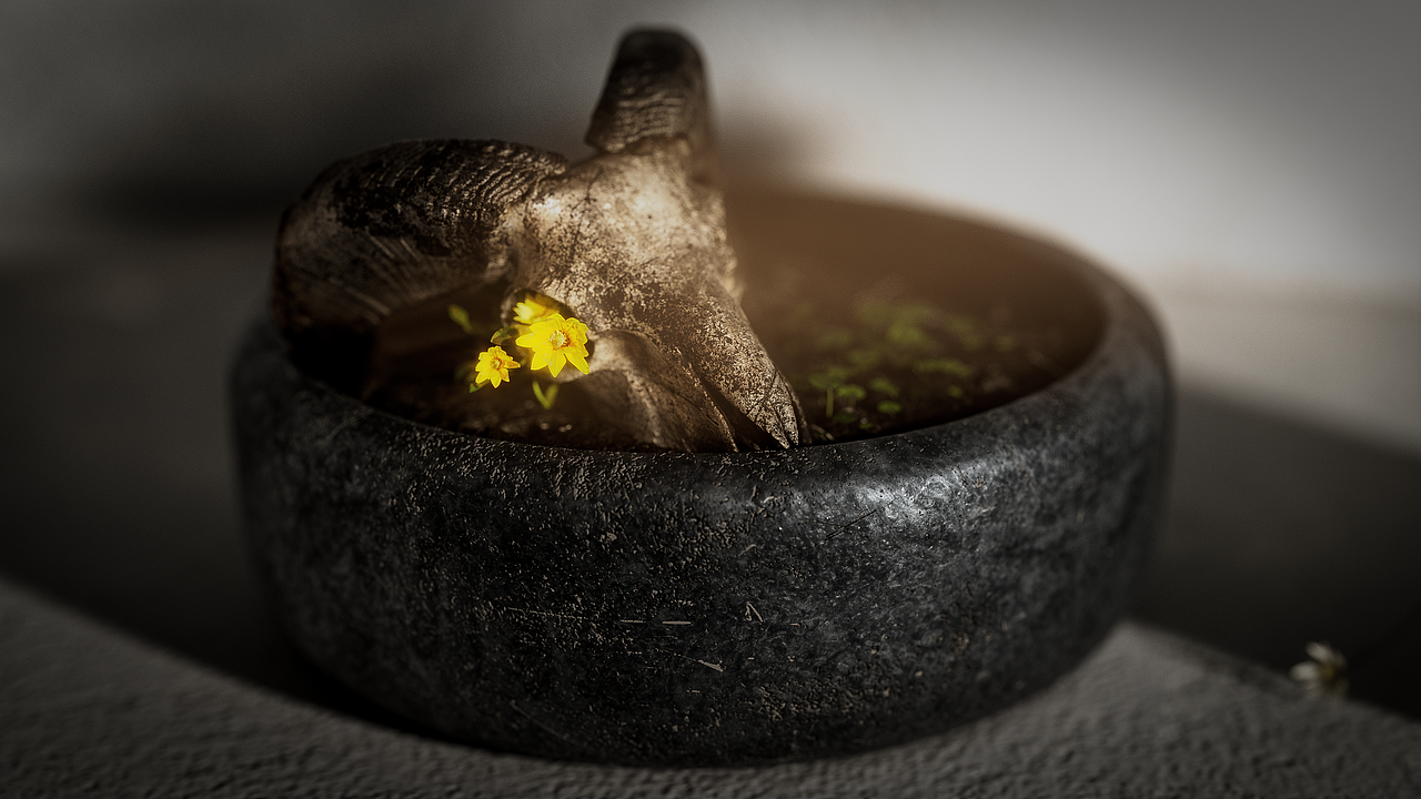 壹 丨 光影写实渲染（图ZMjk1ODU0MTYw） - 场景 - 站酷设计师是康先生啊原创素材 - 站酷ZCOOL