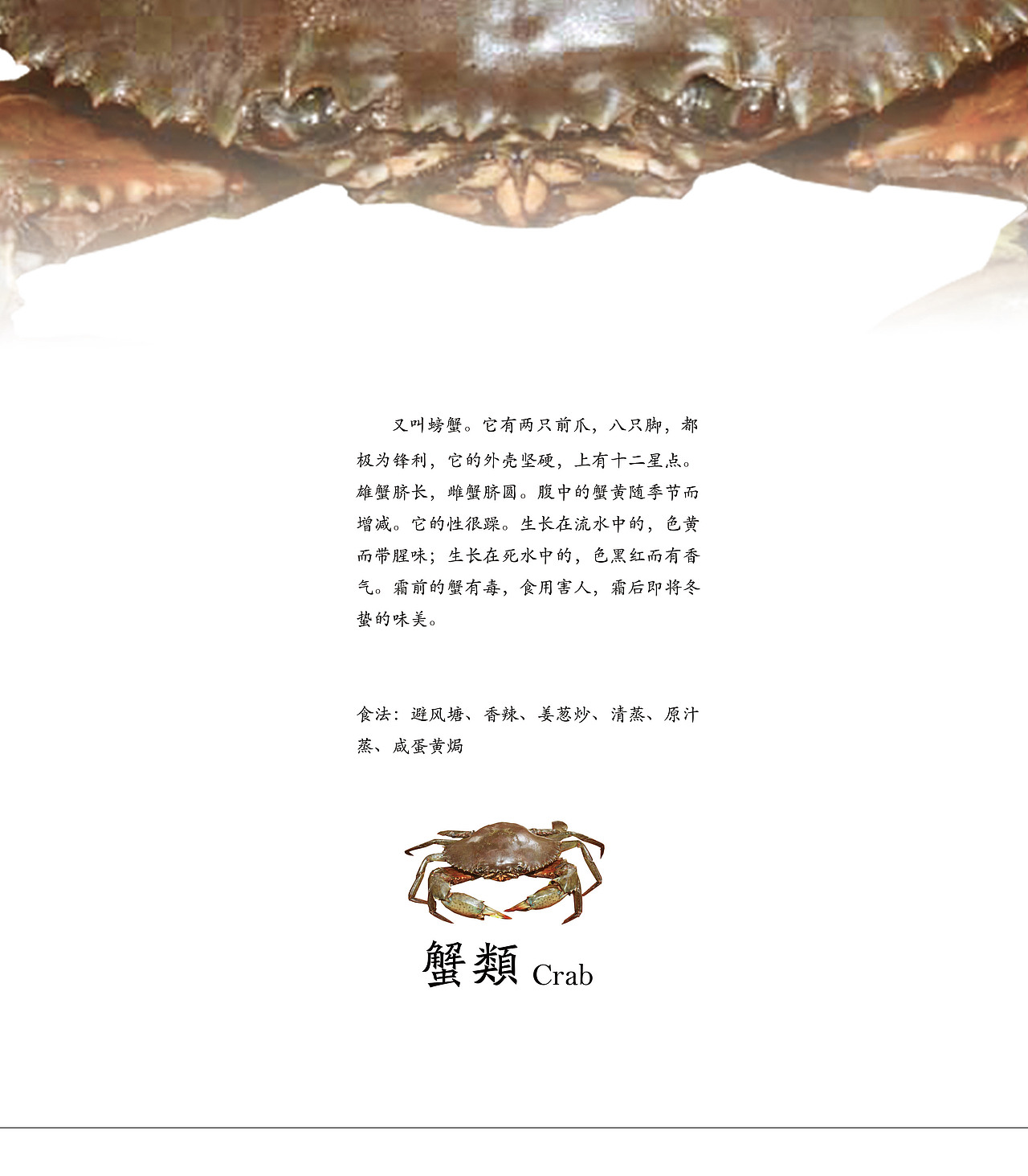 知行大厦海鲜单（图ZOTUzODk2MjA=） - 书籍/画册 - 站酷设计师午睡虫原创素材 - 站酷ZCOOL