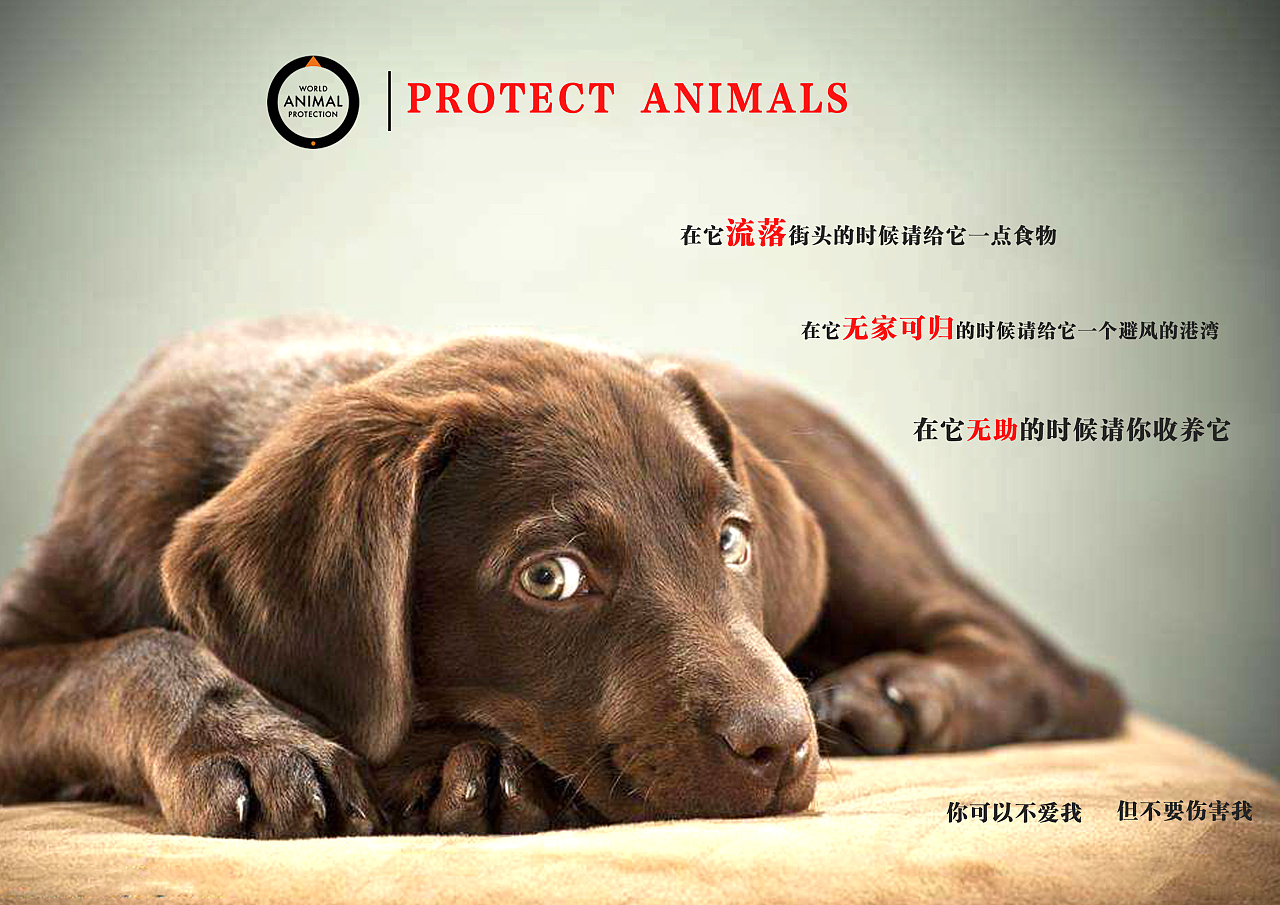 protectanimals
