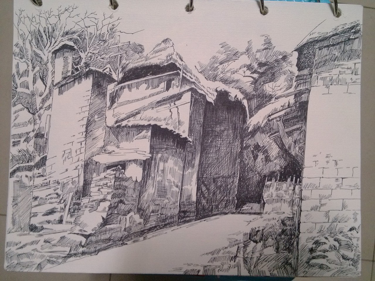 钢笔速写（图ZNTk1NjMzMjA=） - 艺术插画 - 站酷设计师甲甲玲原创素材 - 站酷ZCOOL