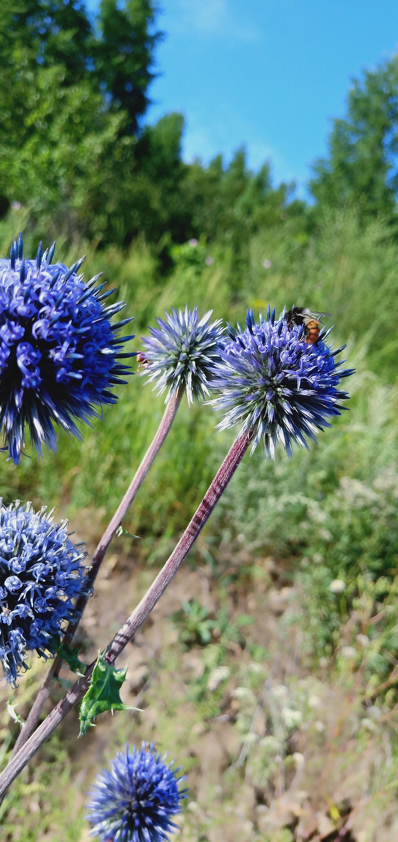 春（图ZMjAxOTQyNTcy） - 风光摄影 - 站酷设计师小梁先生原创素材 - 站酷ZCOOL