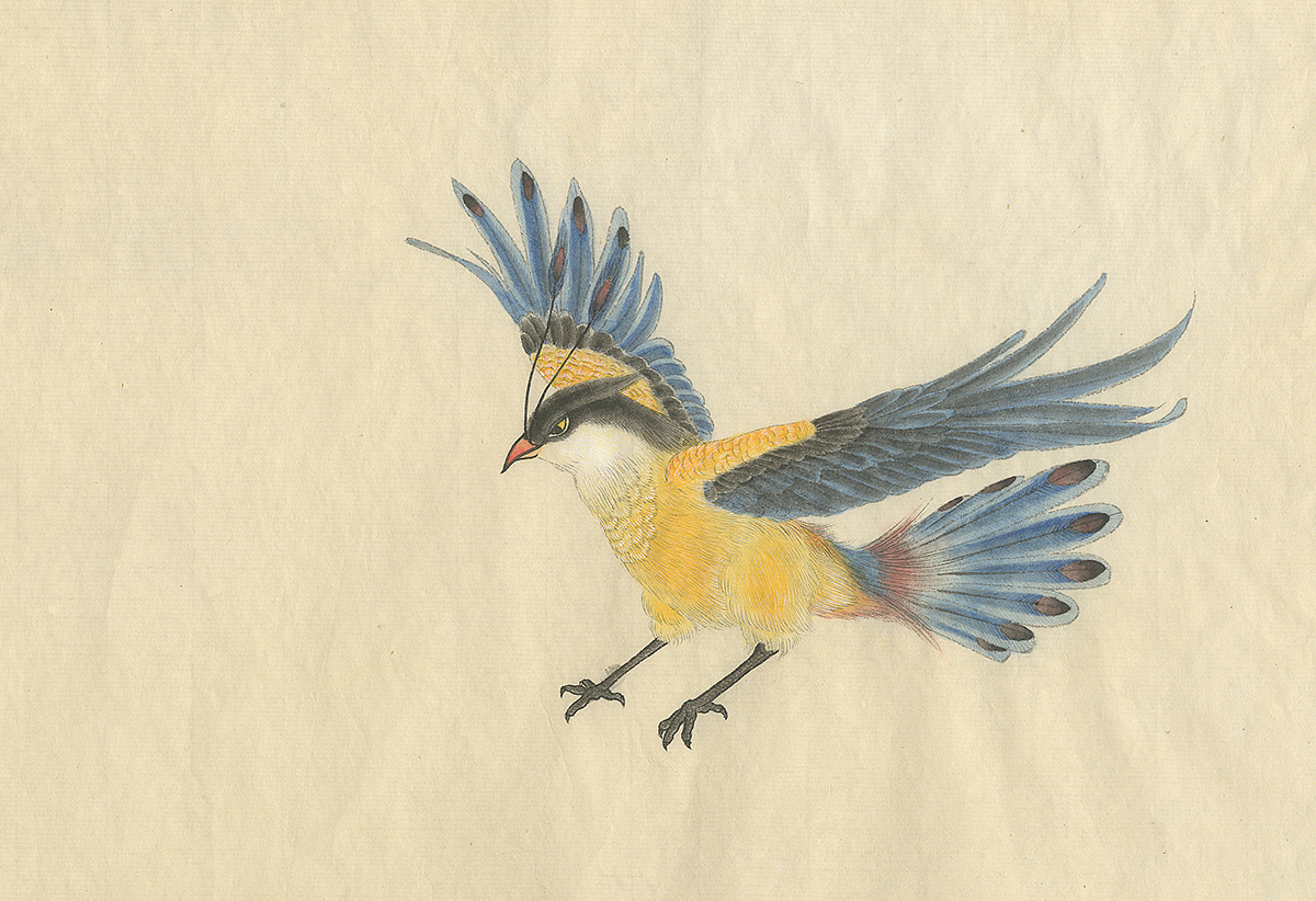 （by 老三）派格元年（2011-2012）（圖ZMzk0MTYzNjQ=） - 藝術插畫 - 站酷設計師老三叁原創(chuàng)素材 - 站酷ZCOOL