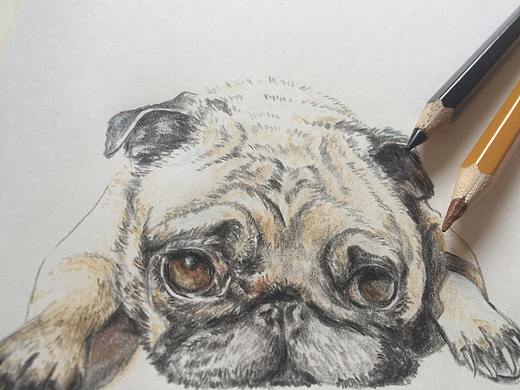 彩铅手绘（个人主页-ZMjQzMDI0ODg=） - 艺术插画 - 站酷设计师Melissa37原创素材 - 站酷ZCOOL