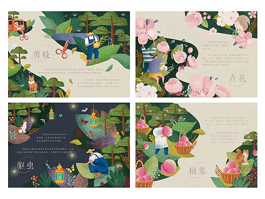 桃说-阳山水蜜桃科普插画