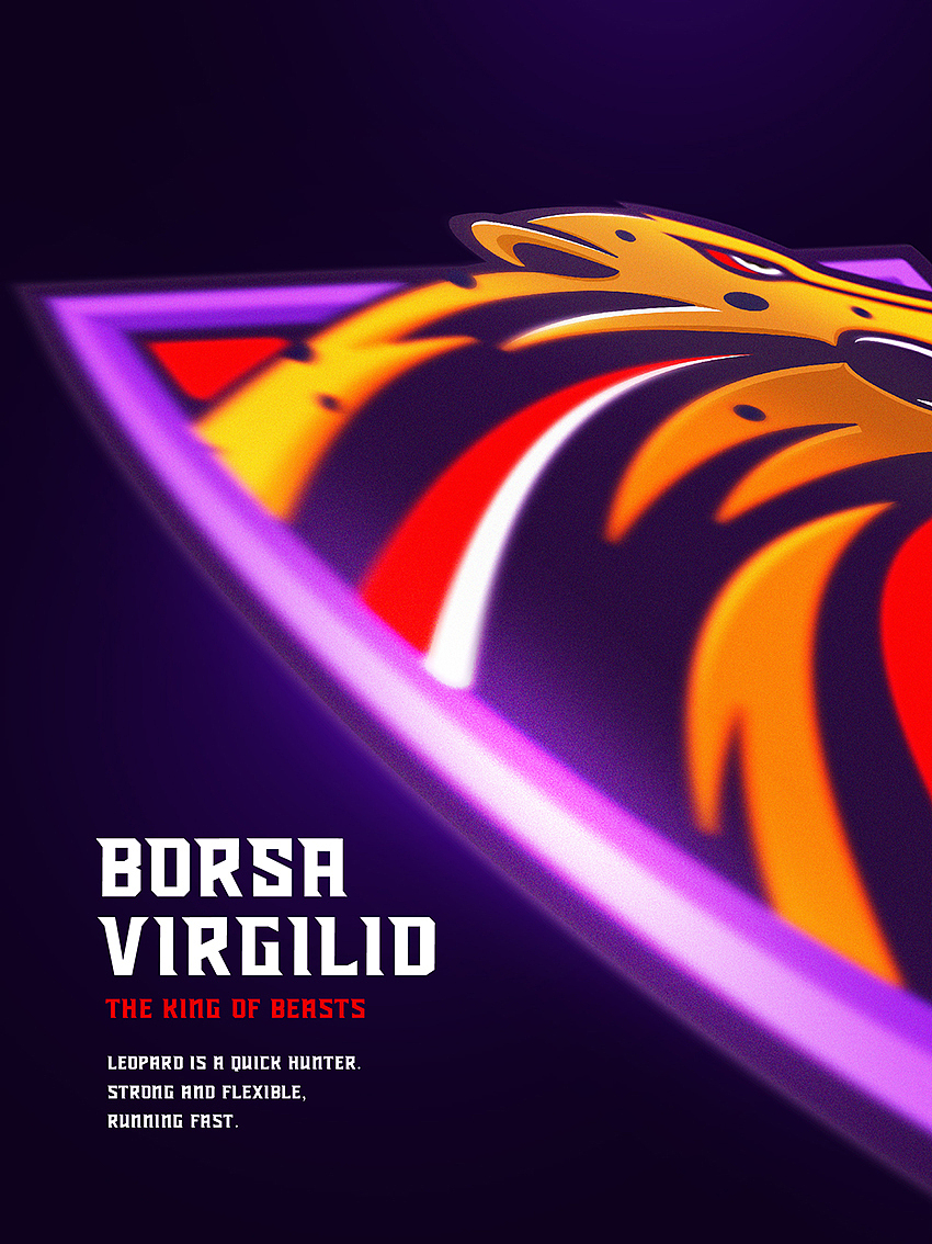 《BORSA VIRGILID》潮牌服饰VI设计 by 心铭舍