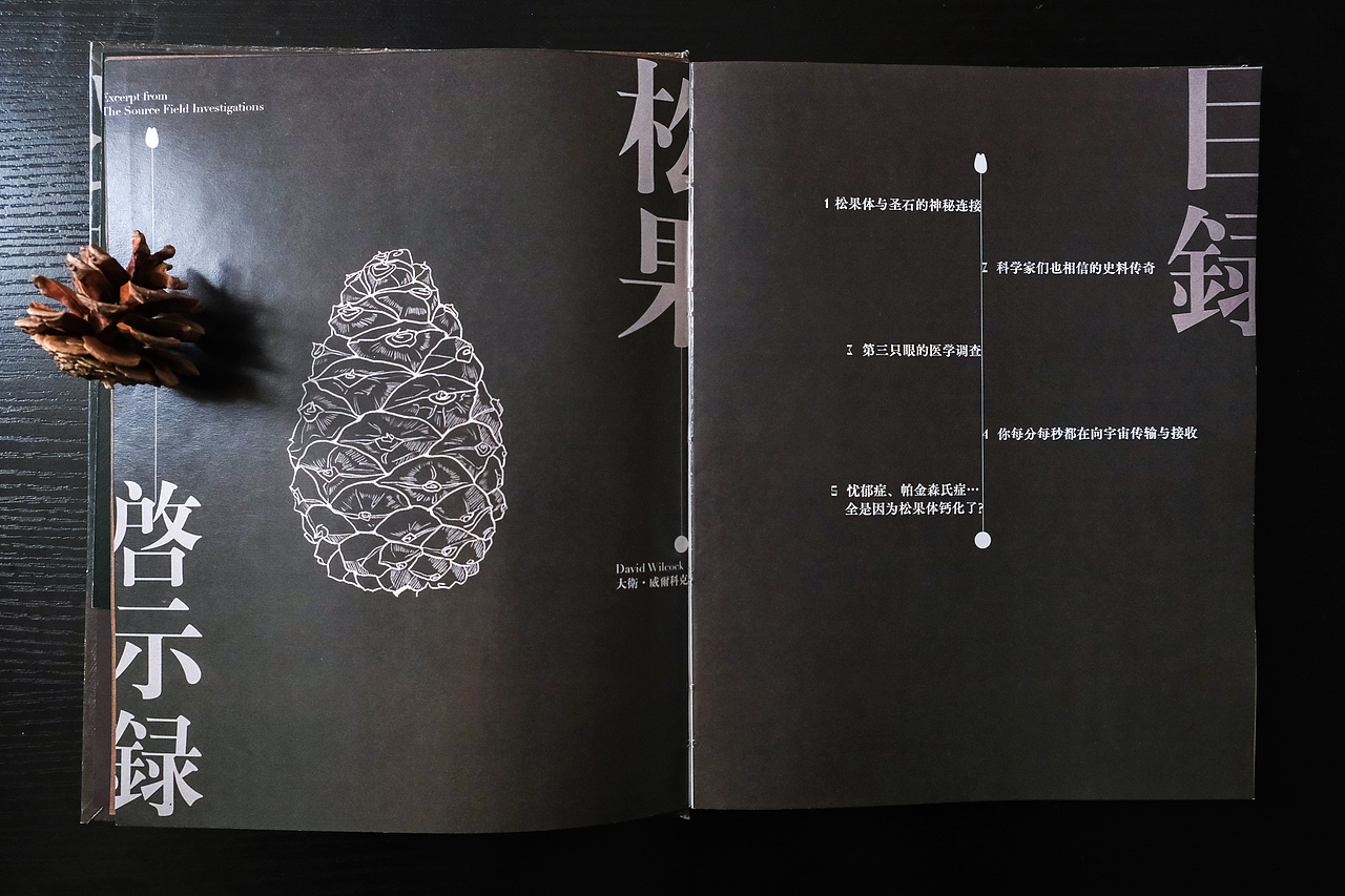 「松果启示录」书籍装帧设计 | 节选自《源场》（图ZMjQ3NDU5ODQ4） - 书籍/画册 - 站酷设计师龍柏原创素材 - 站酷ZCOOL