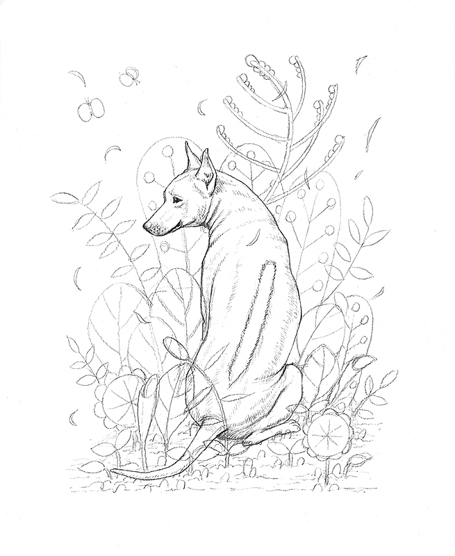 OY手绘：背脊犬（图ZMzY3NDUzNDA=） - 商业插画 - 站酷设计师欧阳鹏杰_OY原创素材 - 站酷ZCOOL