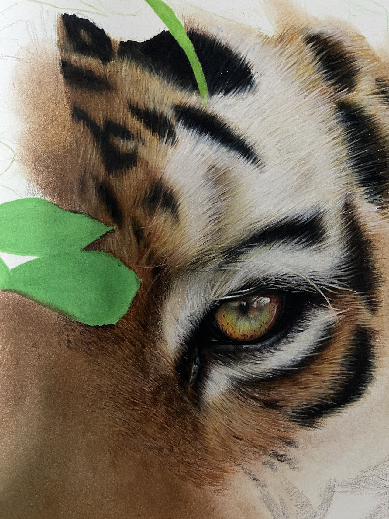 彩铅创作《心有猛虎,细嗅蔷薇》