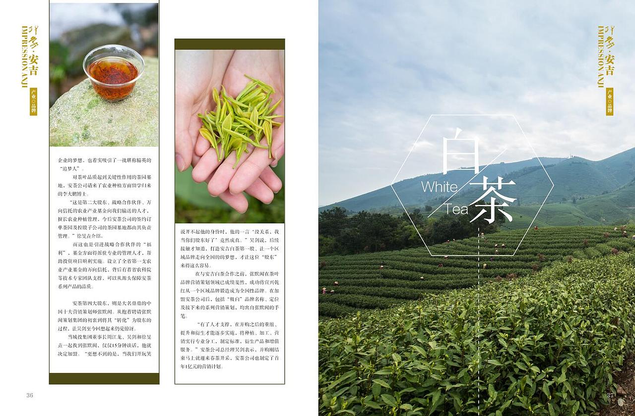 白茶杂志内页设计