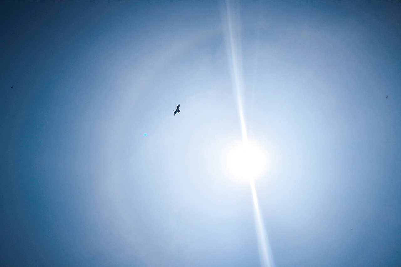 小梦的随手拍-第2期