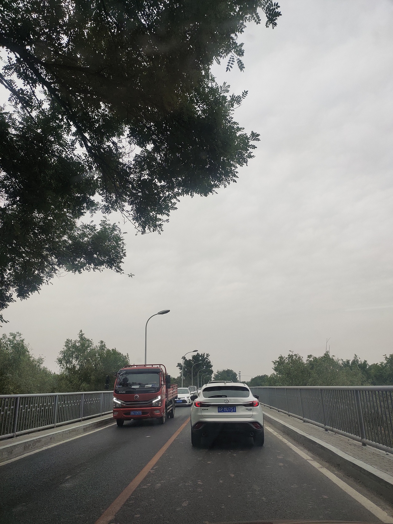 豪情壮志在我胸