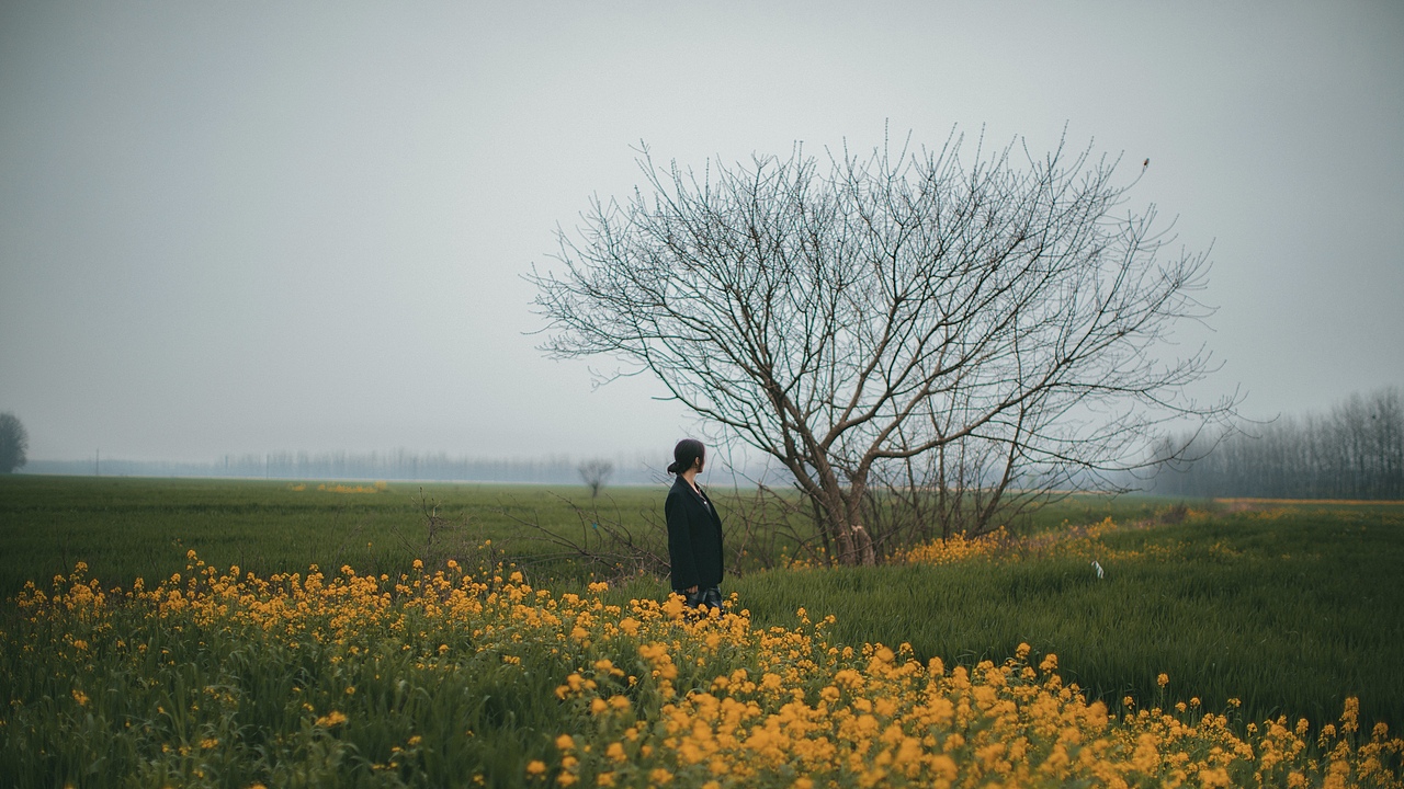 凝视大千世界，这个世界也温暖着你（图ZMjMxNTU5NjEy） - 人文/纪实摄影 - 站酷设计师拾光朝圣者原创素材 - 站酷ZCOOL