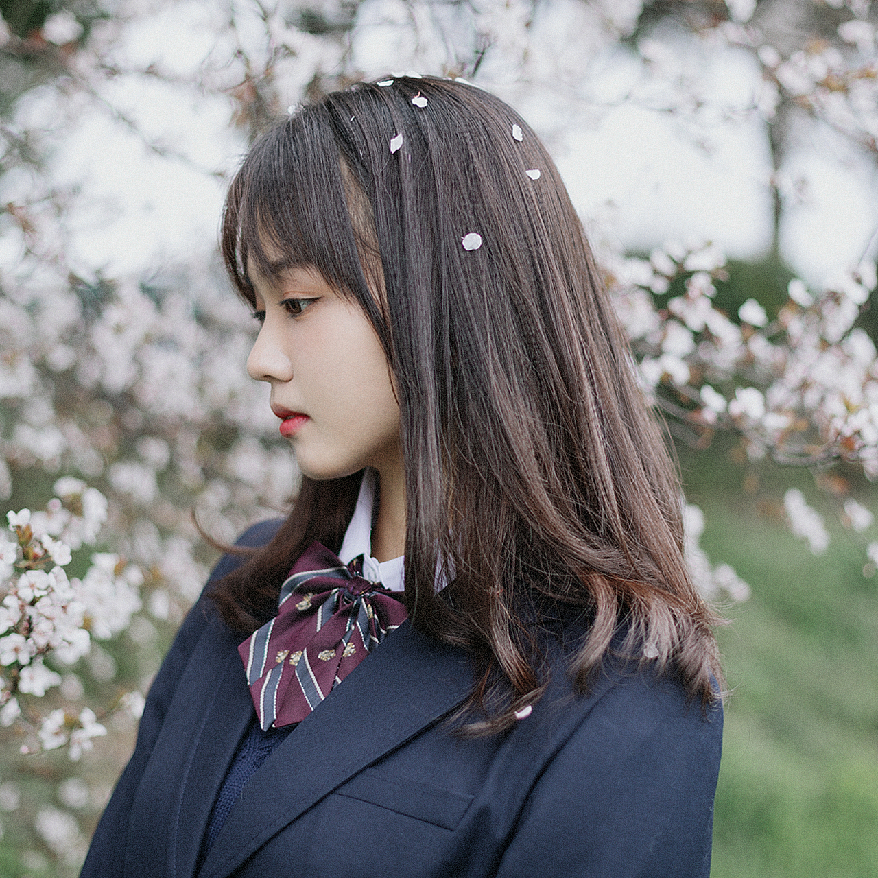 缬花知春（图ZMjQ0NjczODAw） - 人像摄影 - 站酷设计师摄影师张赖汉原创素材 - 站酷ZCOOL