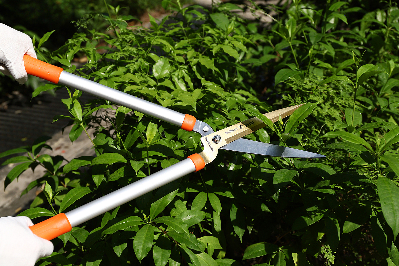 树枝剪拍摄 各类电商产品图片拍摄（图ZMjQyODk4MTYw） - 产品摄影 - 站酷设计师稀饭如茶原创素材 - 站酷ZCOOL