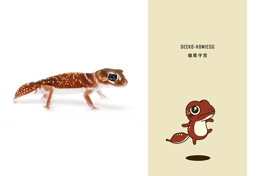 Gecko-Homies 小守宫的日常（单幅）（图ZMTA1MzY2ODA0） - 商业插画 - 站酷设计师不明大肉块原创素材 - 站酷ZCOOL