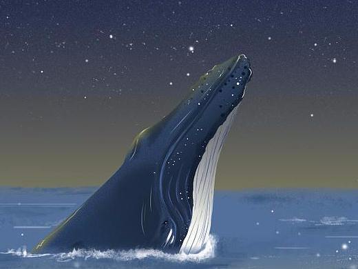 星空下的鲸（个人主页-ZMzMyMDk1NTI=） - 创作习作 - 站酷设计师7in9原创素材 - 站酷ZCOOL