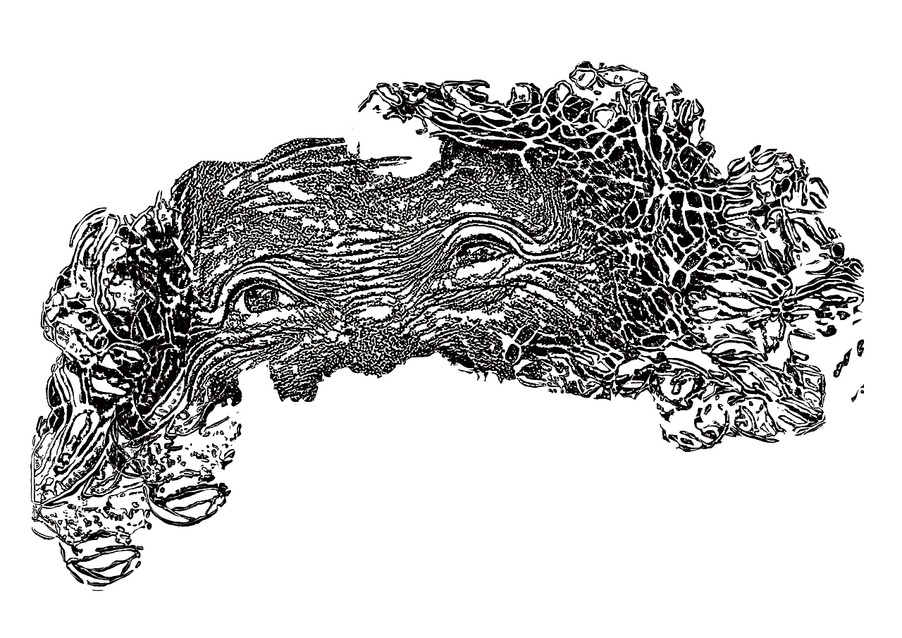 《眼》-插画-银川