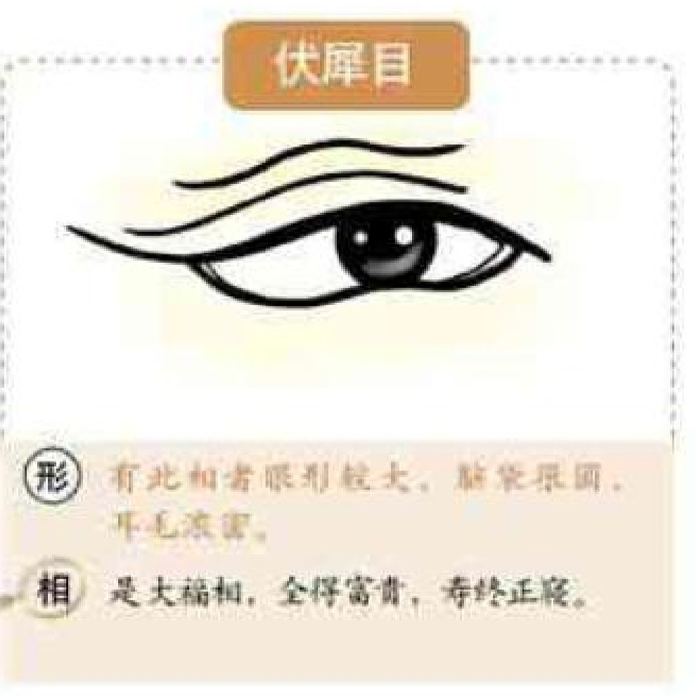 麻衣神相中眼型