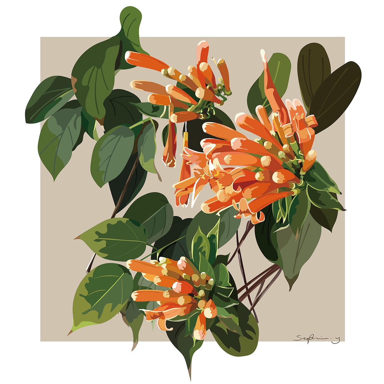 炮仗花北京/插画师/4年前/554浏览肥兔兔stephanie