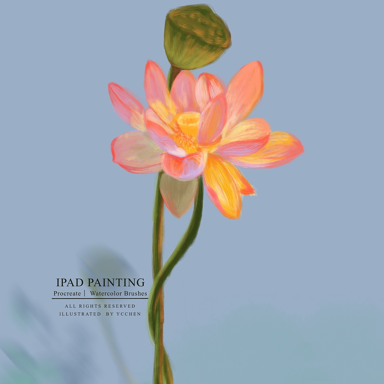 最近的练习（图ZMjMwOTQ3NzY4） - 创作习作 - 站酷设计师画画的苑子原创素材 - 站酷ZCOOL