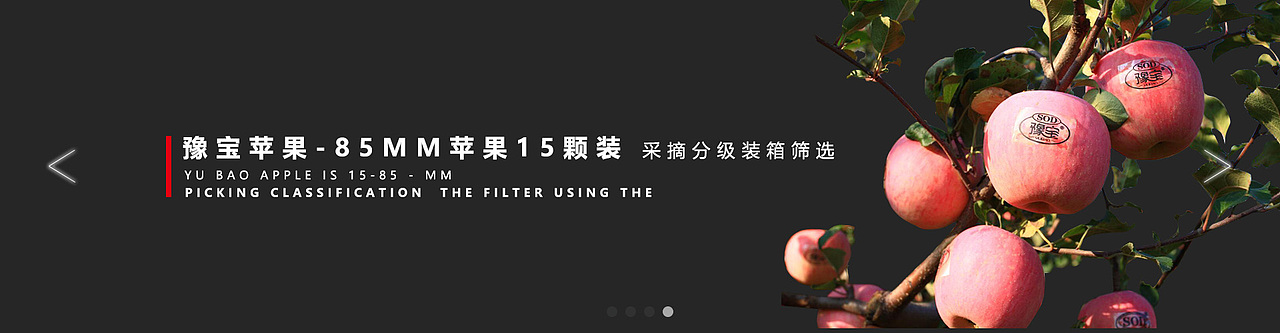 产品海报（图ZOTc2MTM4MjQ=） - 海报 - 站酷设计师白蝴蝶树原创素材 - 站酷ZCOOL